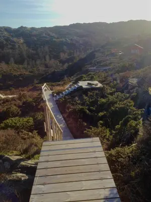 a wooden walkway on top of a hill with trees at Hagland Lille Haugesund 8x Ferienhaus incl Motorboot in Hagland