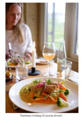 a woman sitting at a table with a plate of food at Turtagrø Hotel in Fortun