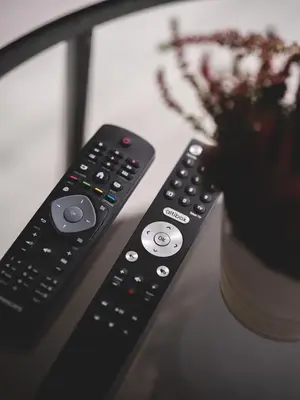 two remote controls sitting next to a vase of flowers at Trolltunga Aparthotel in Tysso