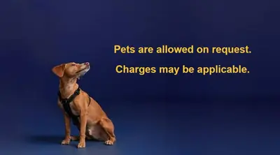 a dog sitting on a blue background with the wordspses are allowed on request at Røros Hotell - Bad & Velvære in Røros