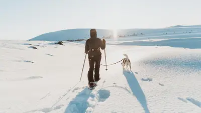 a man walking a dog on skis in the snow at Vestlia Resort in Geilo