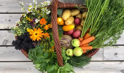 a basket full of fruits and vegetables on a table at Tustna Ladestasjon in Hals