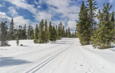 a snow covered road with trees on the side at 3 Bedroom Stunning Home In Sjusjøen in Sjusjøen