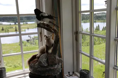 a bird perched on top of a cat statue next to a window at Gamlestølen Fjellstue in Etnedal