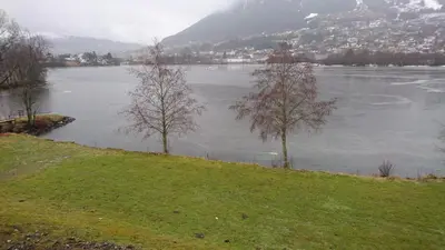 two trees on a hill next to a body of water at Voss Interlake - Villa in Skulestadmo