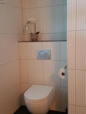 a bathroom with a toilet and a plant on a shelf at Voss Interlake - Villa in Skulestadmo