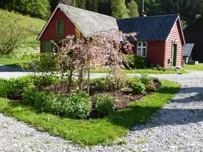 a small tree in front of a red house at Rongen gard in Bolstadøyri