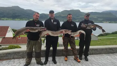 a group of men holding a large fish in their hands at Holiday Home Kvernesfjorden in Averoy