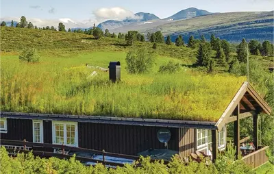 a house with a grass roof with a field at Amazing Home In Kvam With Kitchen in Kvam