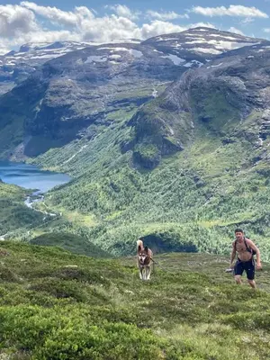 a man and a dog walking on a hill at Voss Mountain Lodge in Mjølfjell