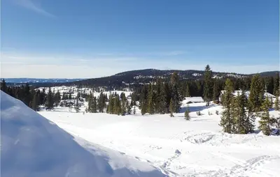 a snow covered slope with trees on a mountain at Amazing Home In Sjusjøen With Wifi in Sjusjøen