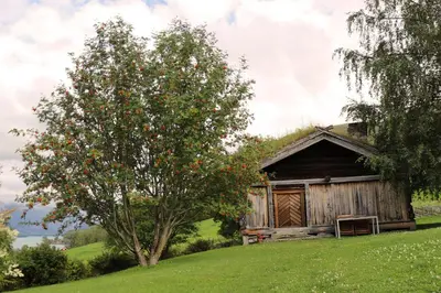 an apple tree next to a wooden cabin at Sygard Storrvik in Storrvik