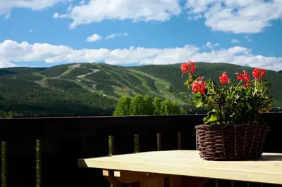 a basket of flowers sitting on a table on a balcony at Geilolia Ferieleiligheter in Geilo