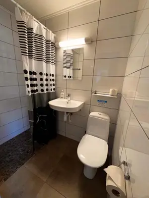 a small bathroom with a toilet and a sink at Ustedalen Lodge, Appartement 1 in Geilo