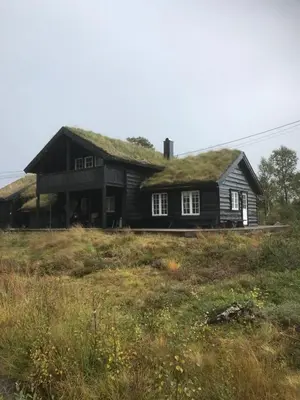 a black house with a grass roof on a field at Remestøylflotti Hyttegrend in Hovden
