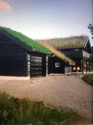 a large black building with a grass roof at Remestøylflotti Hyttegrend in Hovden