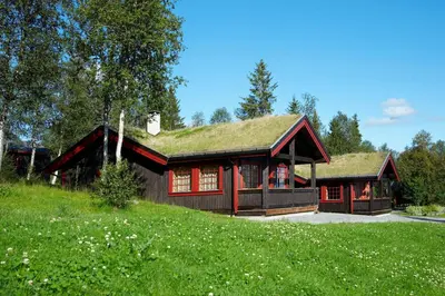 a house with a grass roof on a field at Knuts Hyttegrend in Beitostøl