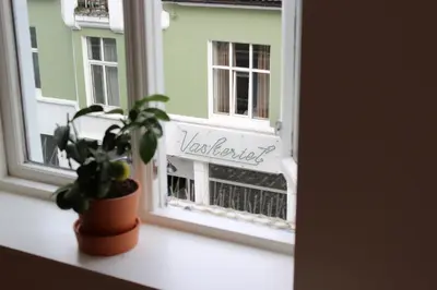 a plant on a window sill with a view of a bench at MB Apartments in Bergen