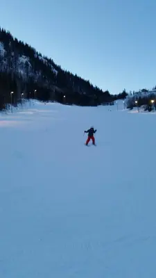 a person is skiing down a snow covered slope at Leilighet i Åmotsdal in Åmotsdal