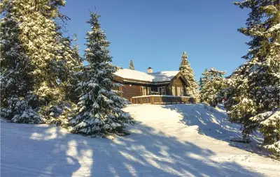 a log cabin in the snow with trees at Sjusjøen Pihl 185 in Sjusjøen