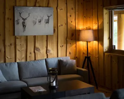 a living room with a couch and a lamp at Blåtind Apartments in Stordal