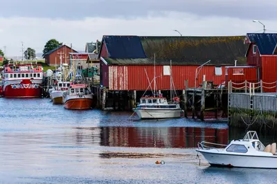 a group of boats are docked in a harbor at Ørland Kysthotell in Brekstad