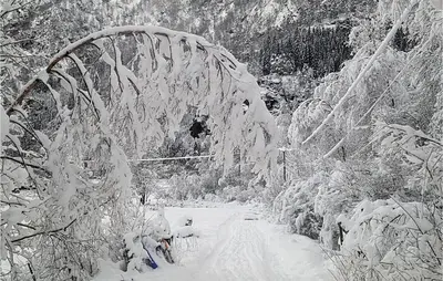 a person on a snow covered road with snow covered trees at 3 Bedroom Lovely Home In Vikanes in Eiknes