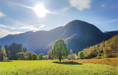 a tree in a field in front of a mountain at 3 Bedroom Lovely Home In Vikanes in Eiknes