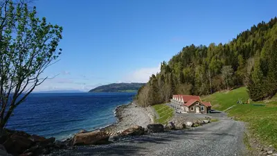 a house on a hill next to a body of water at Hjellup Fjordbo in Leksvik