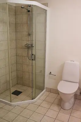 a bathroom with a shower with a toilet at Hovdehytta in Hovden