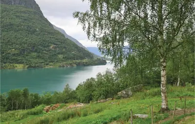 a view of a lake from a hill with a tree at Stunning Home In Olden With Kitchen in Olden