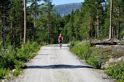 a woman riding a bike down a dirt road at Lesjaskogsvatnet Camping in Lesjaskog