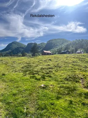 a grassy field with a barn and mountains in the background at Awesome Fishing, Boating and Nature Experience at Fiskesenter Birkeland in Rekdal