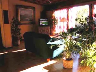 a living room with a couch and a plant at Midtnes Hotel in Balestrand