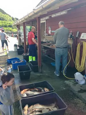 a couple of men standing in a kitchen with some fish at Bakkevik Brygge in Kalvåg
