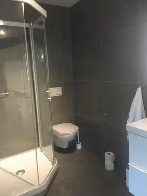 a bathroom with a toilet and a glass shower at Seaside Rentals in Trondheim