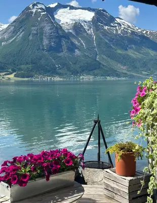 a view of a lake with flowers and a mountain at Vollsnes Feriehus in Hjelle