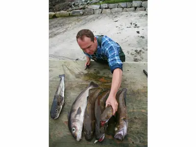 a man is holding a bunch of fish at 6 person holiday home in Åram-By Traum in Sandvik