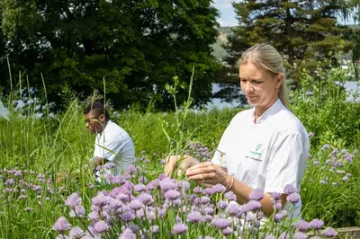 a woman standing in a field of purple flowers at Thorbjørnrud Hotell in Jevnaker