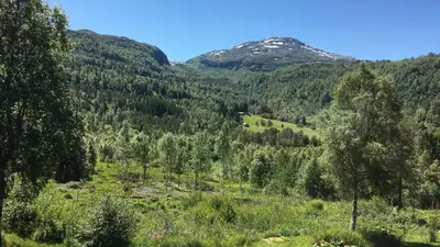a view of a valley with trees and mountains at Voss Lodge Rongastovo in Vossevangen