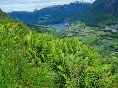 a view of a valley from a mountain at Naustvoll in Olden