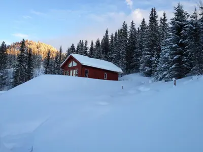 a red barn in the snow in front of trees at Totakbu in Rauland