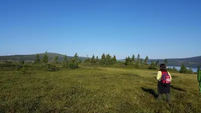 a person with a backpack standing in a field at Nordseter Hytter in Nordseter