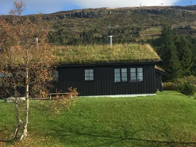 a house with a grass roof on top of it at Skei Apartments in Svingvoll