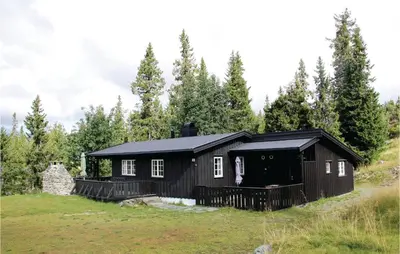 a black cabin on a hill with trees in the background at Stunning Home In Sjusjøen With Kitchen in Sjusjøen