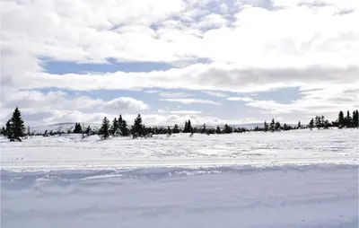 a field covered in snow with trees in the background at Cozy Home In Sjusjøen With Kitchen in Sjusjøen