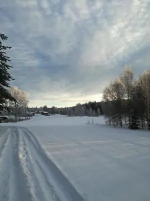 a snow covered road in a field with trees at Presterudveien 125 in Vikersund