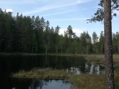 a view of a lake with trees in the background at Presterudveien 125 in Vikersund