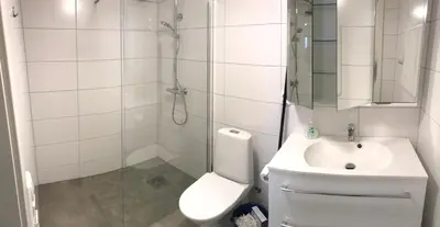 a bathroom with a shower and a toilet and a sink at Haukelifjell Skisenter in Vågsli