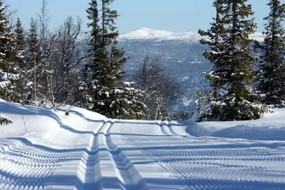 a snow covered road with trees on a mountain at Kvitåvatn Fjellstue in Gaustablikk
